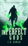 imPerfect Gods by C.N. Rowan, 9781036710798