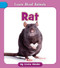 Rat by Cecilia Minden, 9781668972496