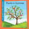 Plants in Summer by Rebecca Felix, 9781668972588