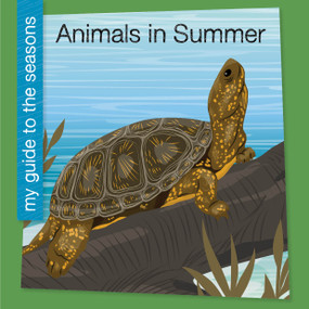 Animals in Summer by Rebecca Felix, 9781668972595