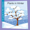 Plants in Winter - 9781668972601 by Rebecca Felix, 9781668972601