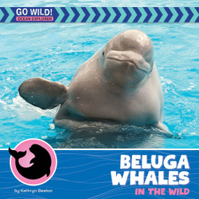 Beluga Whales in the Wild by Kathryn Beaton, 9781668972748