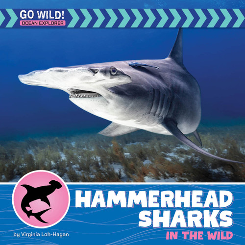 Hammerhead Sharks in the Wild by Virginia Loh-Hagan, 9781668972779