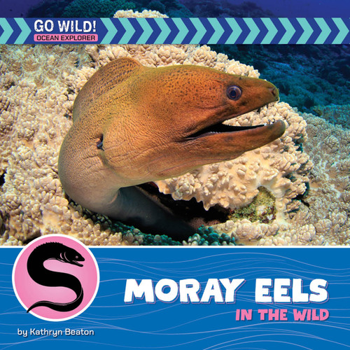 Moray Eels in the Wild by Kathryn Beaton, 9781668972793