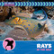 Rays in the Wild by Susan H. Gray, 9781668972823