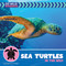 Sea Turtles in the Wild by Virginia Loh-Hagan, 9781668972854