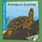 Animals in Summer - 9781668973974 by Rebecca Felix, 9781668973974