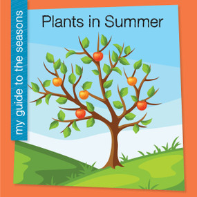 Plants in Summer - 9781668973967 by Rebecca Felix, 9781668973967
