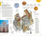 DK Naples and the Amalfi Coast by DK Travel, 9780241784471