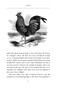 Flights of Fancy (Birds in Myth, Legend, and Superstition) - 9780385342490 by Peter Tate