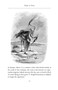 Flights of Fancy (Birds in Myth, Legend, and Superstition) - 9780385342490 by Peter Tate