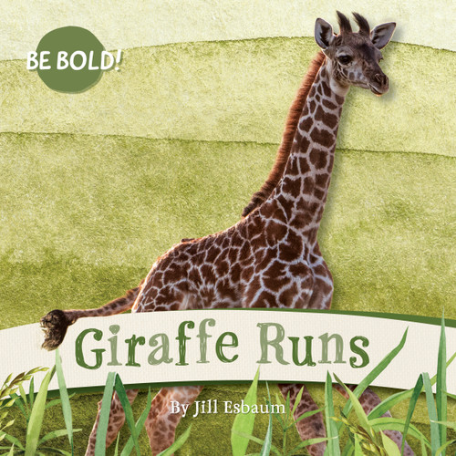 Giraffe Runs! by Jill Esbaum, 9781223190037