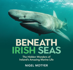 Beneath Irish Seas (The Hidden Wonders of Ireland's Amazing Marine Life) by Nigel Motyer, 9781785375705