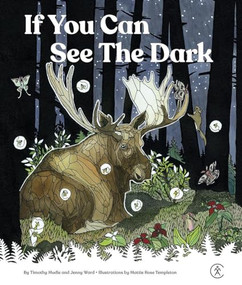 If You Can See The Dark by Timothy Mudie, Jenny Ward, Mattie Rose Templeton, 9781628421873