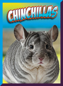 Chinchillas - 9781645825906 by Marysa Storm, 9781645825906