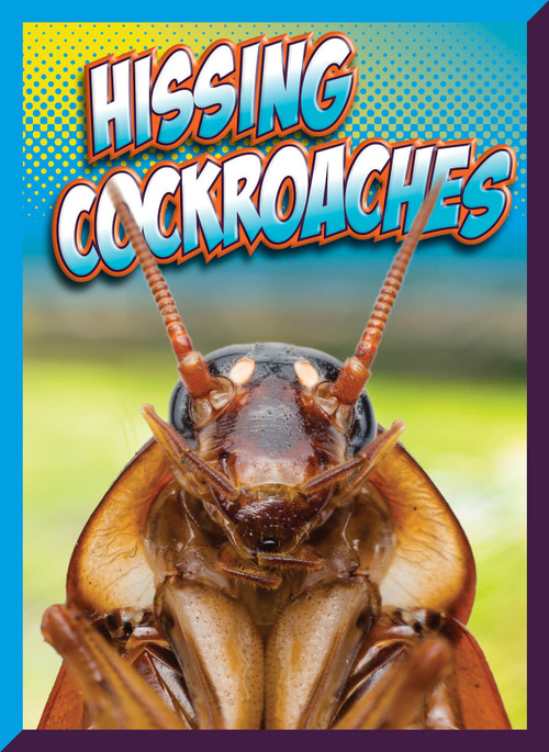 Hissing Cockroaches by Marysa Storm, 9781645825913