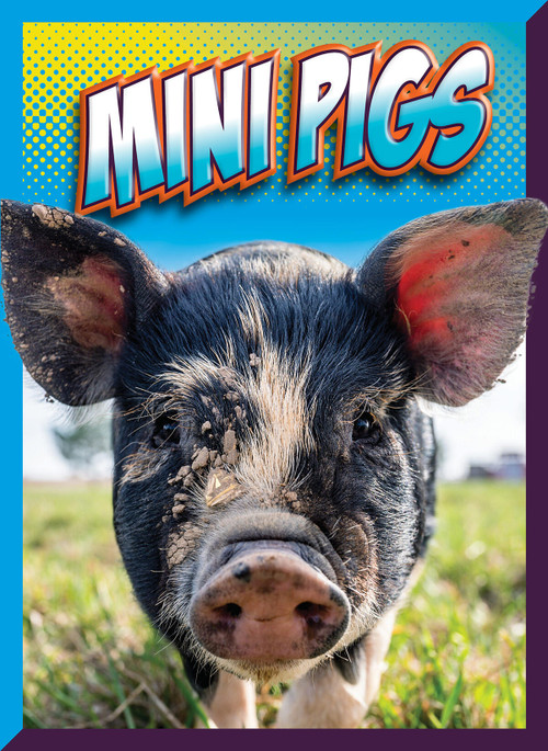 Mini Pigs by Marysa Storm, 9781645825920