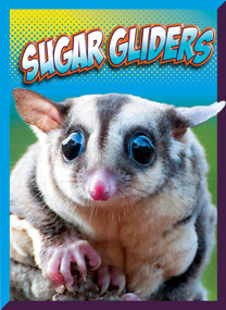 Sugar Gliders - 9781645825944 by Marysa Storm, 9781645825944