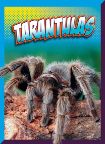 Tarantulas - 9781645825951 by Marysa Storm, 9781645825951