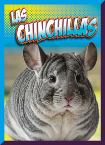Las chinchillas by Marysa Storm, 9781645826026