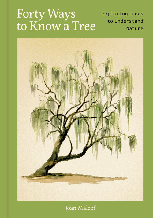 Forty Ways to Know a Tree (Exploring Trees to Understand Nature) by Joan Maloof, Sara Nunan, 9781797238036