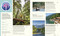 50 States The Ultimate Travel List (The Best Things to See and Do in Every State) by DK Travel, 9798217137961