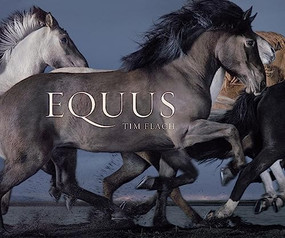 Equus (Mini) by Tim Flach, 9781419716683