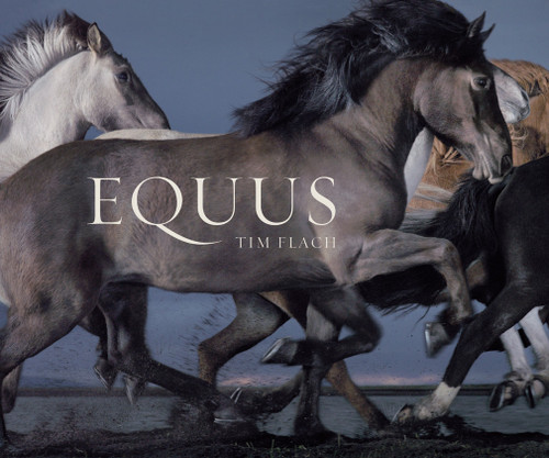 Equus (Mini) by Tim Flach, 9781419716683