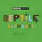 Reptile Alphabet by Beck Feiner, Beck Feiner, 9781764222303