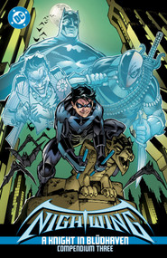 Nightwing: A Knight in Blüdhaven Compendium Three by Chuck Dixon, Ed Brubaker, Sergio Aragones, Stefano Gaudiano, 9781799508120