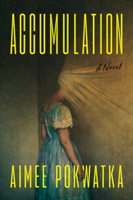 Accumulation by Aimee Pokwatka, 9798217047628