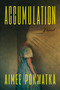 Accumulation by Aimee Pokwatka, 9798217047628
