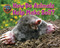 How Do Animals Help Make Soil? - 9781627248358 - 9781627248358 by Ellen Lawrence, 9781627248358
