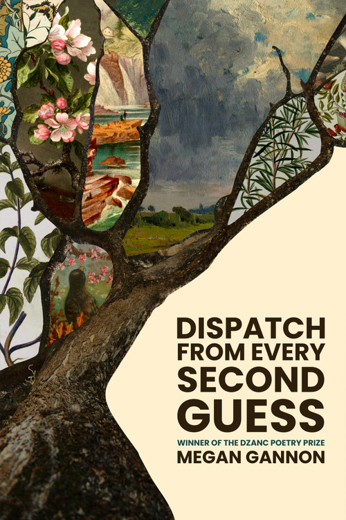 Dispatch From Every Second Guess by Megan Gannon, 9781938603761