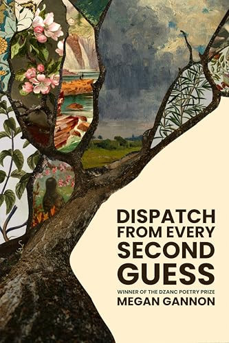 Dispatch From Every Second Guess by Megan Gannon, 9781938603761
