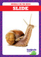 Slide - 9798892138222 - 9798892138222 by Jenna Lee Gleisner, N/A, 9798892138222