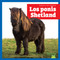 Los ponis Shetland (Shetland Ponies) (Spanish Edition) by Rachel Grack, N/A, 9798896621546