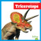 Triceratops - 9798896620020 by Lily Austen, 9798896620020