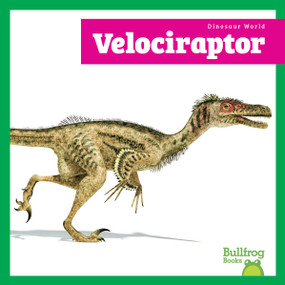 Velociraptor - 9798896620082 - 9798896620082 by Lily Austen, N/A, 9798896620082