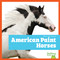American Paint Horses - 9798892139397 - 9798892139397 by Rachel Grack, N/A, 9798892139397