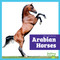 Arabian Horses - 9798892139427 - 9798892139427 by Rachel Grack, N/A, 9798892139427