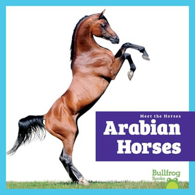 Arabian Horses - 9798892139427 by Rachel Grack, 9798892139427