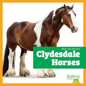 Clydesdale Horses - 9798892139458 by Rachel Grack, 9798892139458