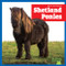 Shetland Ponies by Rachel Grack, 9798892139519