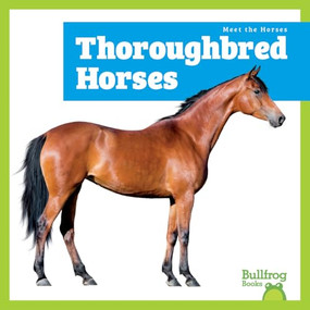 Thoroughbred Horses - 9798892139540 by Rachel Grack, 9798892139540