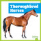 Thoroughbred Horses - 9798892139540 by Rachel Grack, 9798892139540