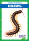 Crawl - 9798892138116 - 9798892138116 by Jenna Lee Gleisner, N/A, 9798892138116