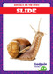 Slide - 9798892138239 by Jenna Lee Gleisner, 9798892138239