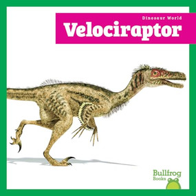 Velociraptor - 9798896620099 by Lily Austen, 9798896620099