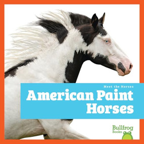 American Paint Horses - 9798892139403 by Rachel Grack, 9798892139403